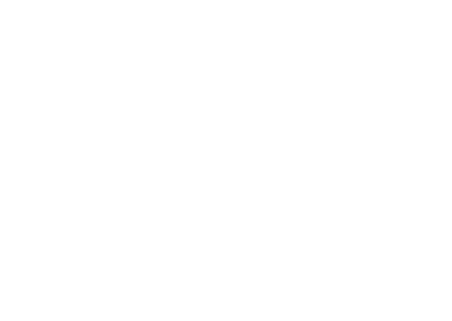 THE WEDDING THE WEDDING